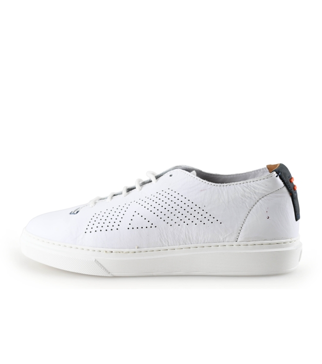 Greve Sneakers