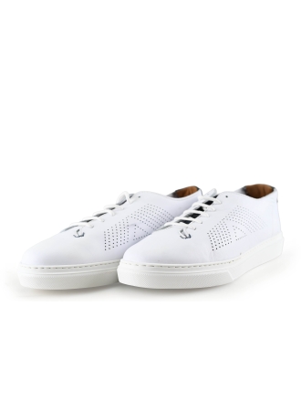 Greve Sneakers