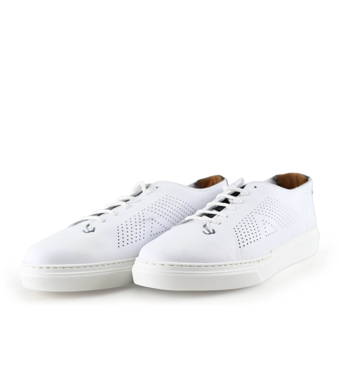 Greve Sneakers