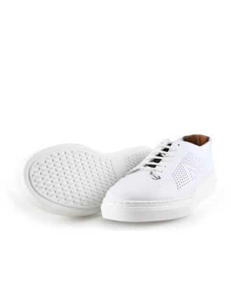 Greve Sneakers