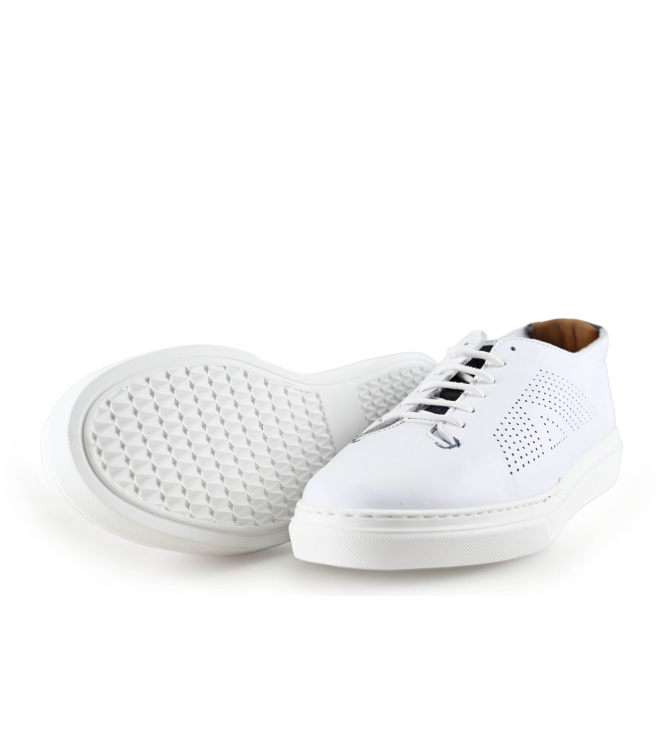 Greve Sneakers