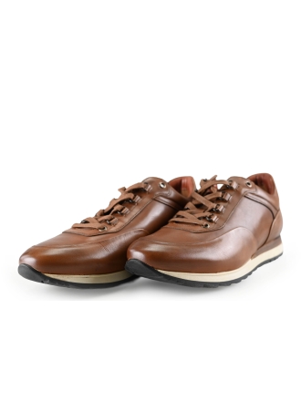 Greve Sneakers