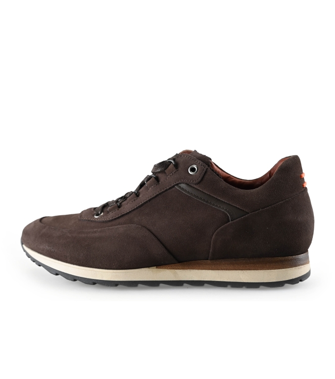 Greve Sneakers