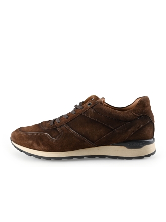 Greve Sneakers