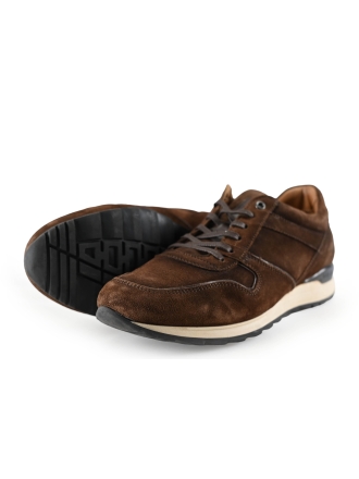 Greve Sneakers