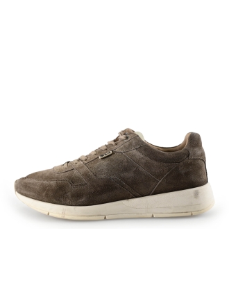 Greve Sneakers Bruin 283162