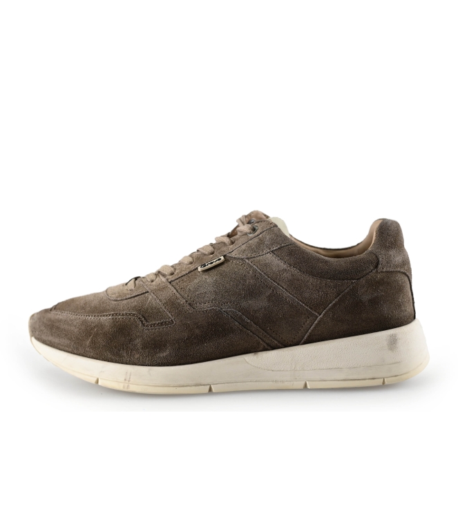 Greve Sneakers