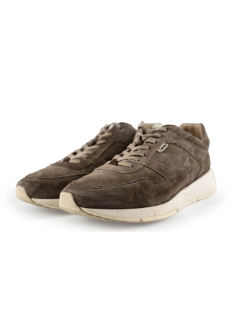 Greve Sneakers Bruin 283162