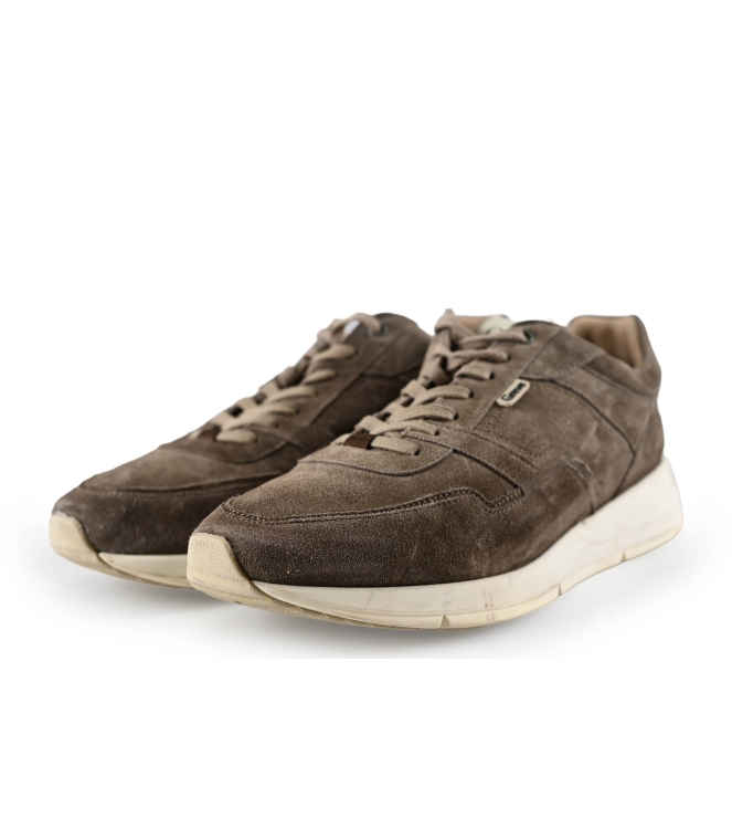 Greve Sneakers
