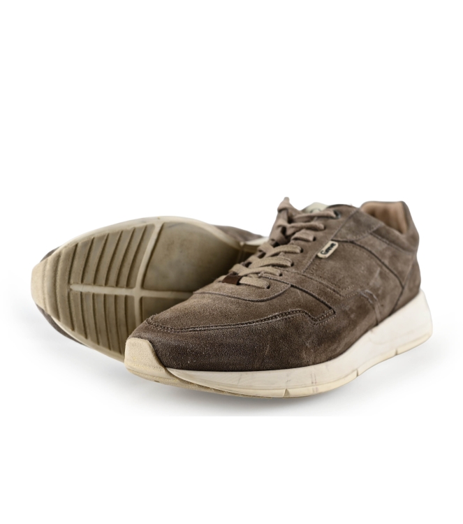 Greve Sneakers