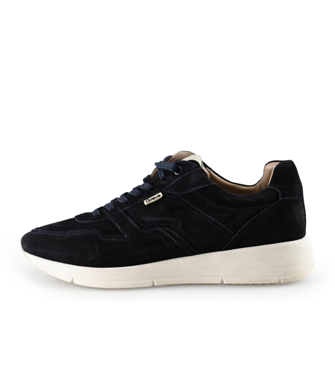 Greve Sneakers