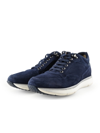 Greve Sneakers