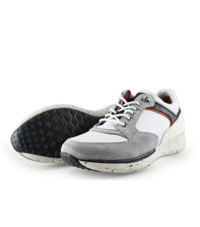 Greve Sneakers