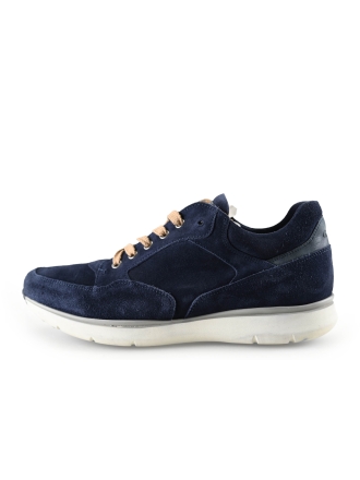 Greve Sneakers Blauw 283196