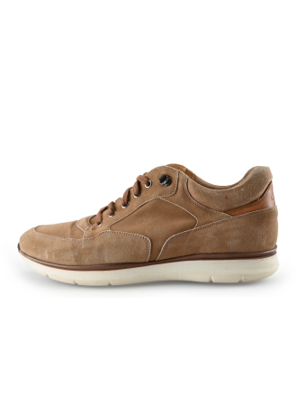 Greve Sneakers
