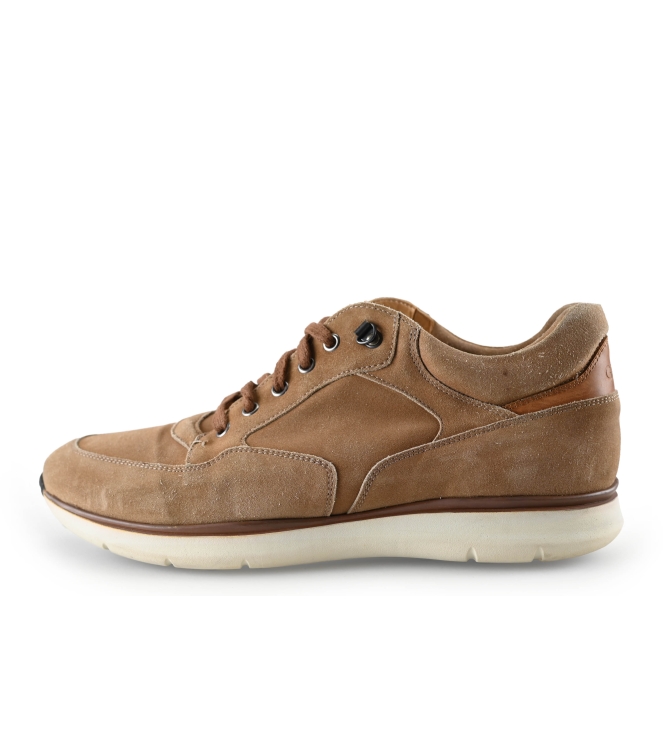 Greve Sneakers