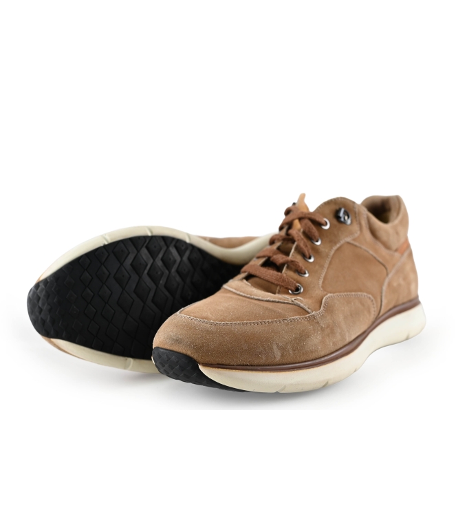 Greve Sneakers