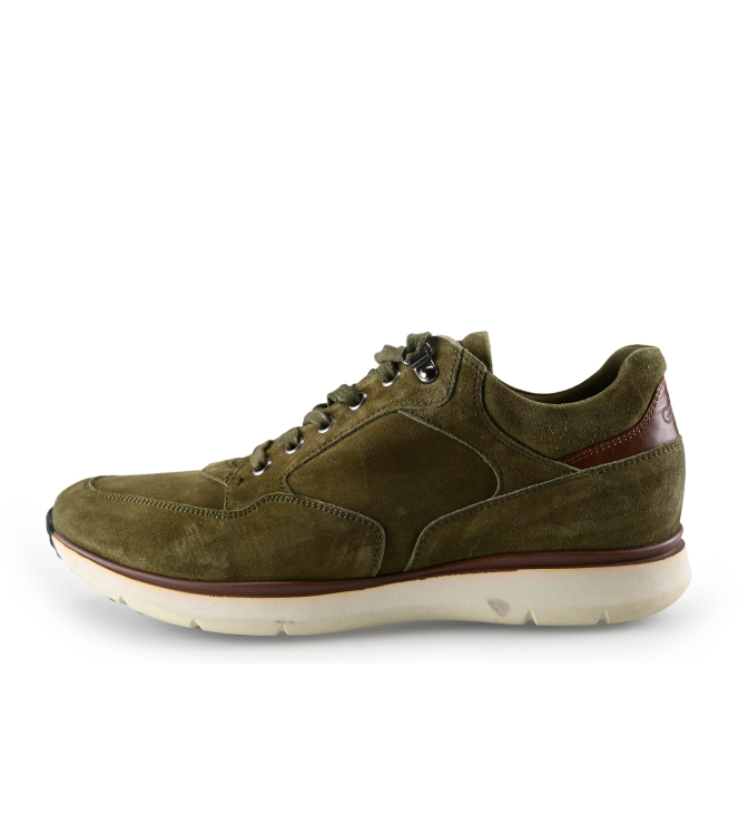 Greve Sneakers
