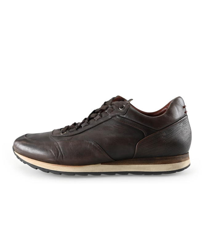 Greve Sneakers