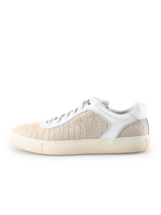 Greve Sneakers