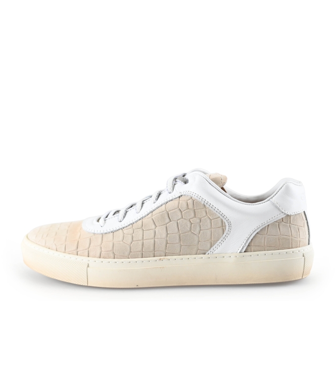 Greve Sneakers