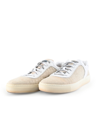Greve Sneakers