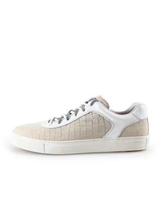 Greve Sneakers Beige 283261