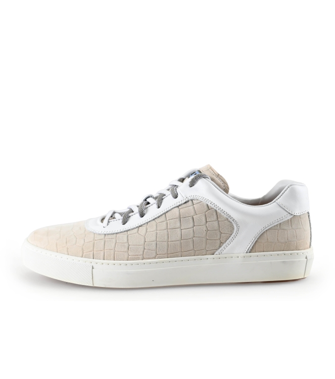 Greve Sneakers