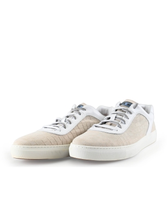 Greve Sneakers Beige 283261