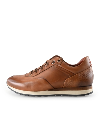 Greve Sneakers Bruin 283334