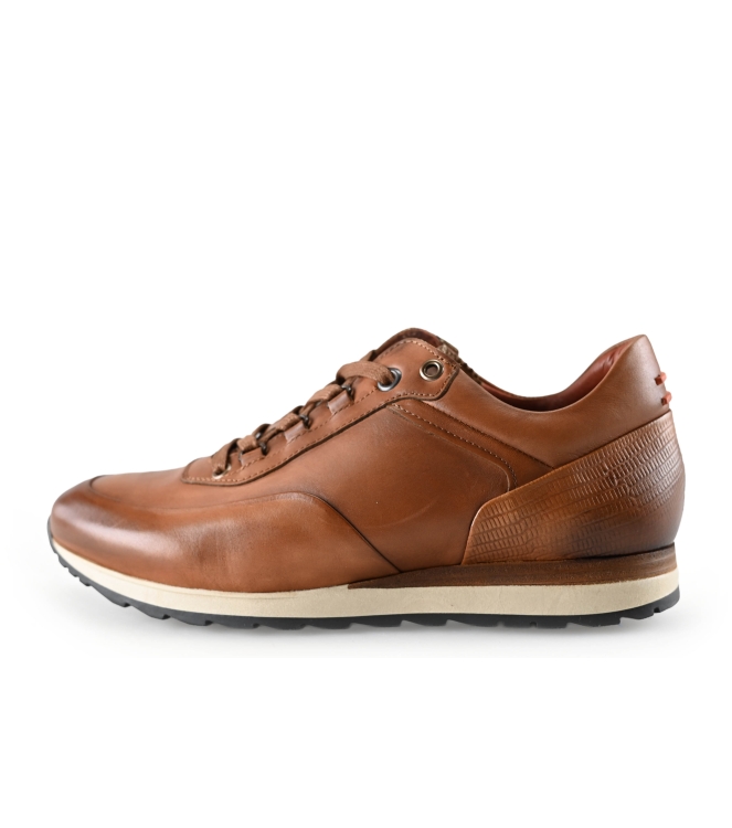 Greve Sneakers