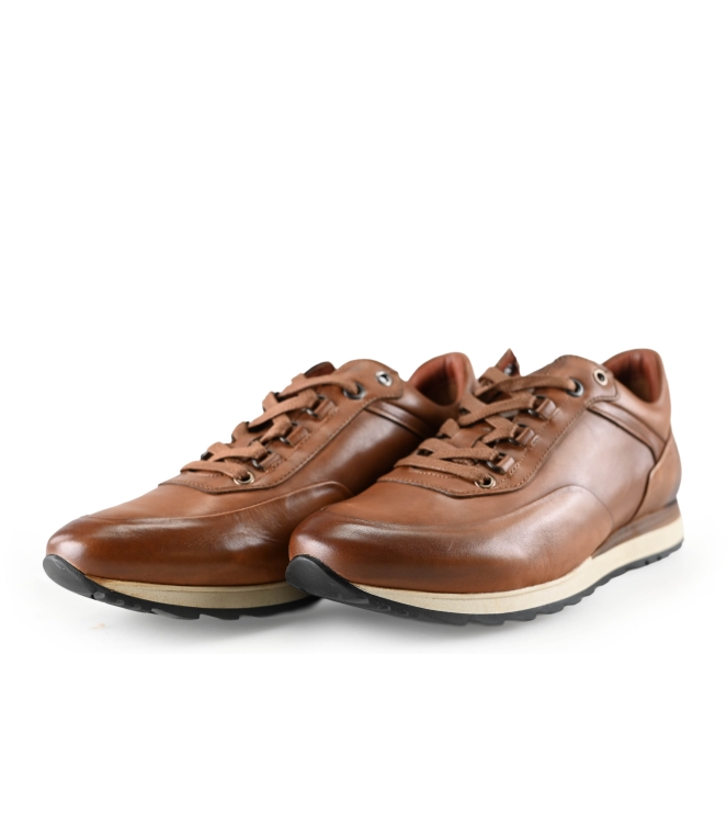 Greve Sneakers