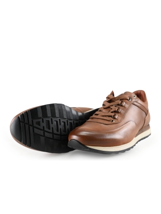 Greve Sneakers