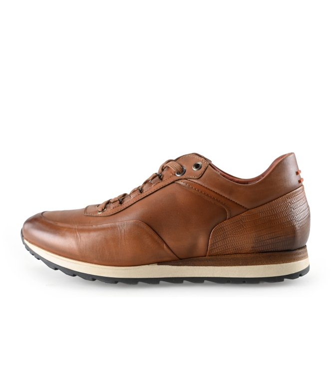 Greve Sneakers