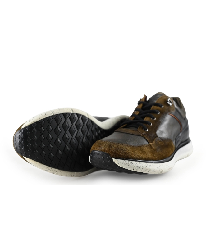 Greve Sneakers