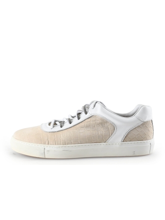 Greve Sneakers Beige 283398