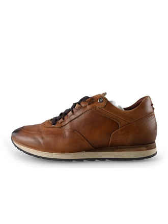 Greve Sneakers Bruin 283586