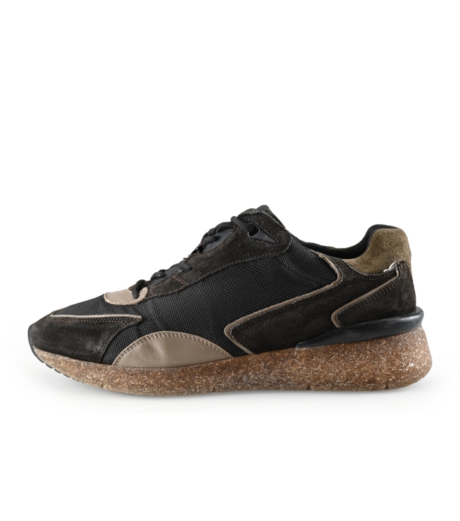 Greve Sneakers