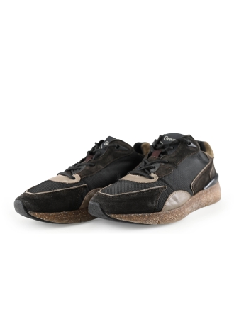 Greve Sneakers