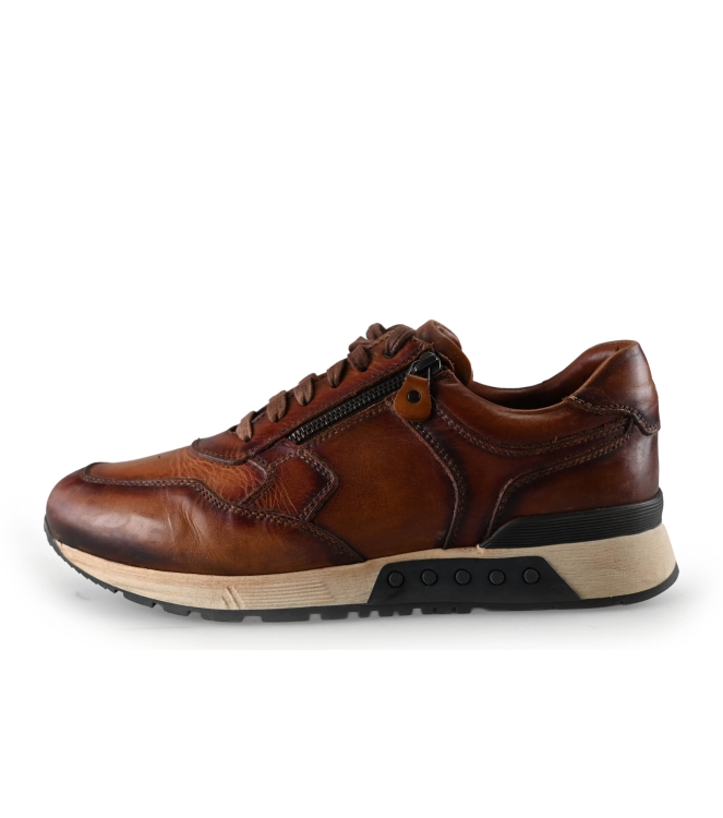 Greve Sneakers