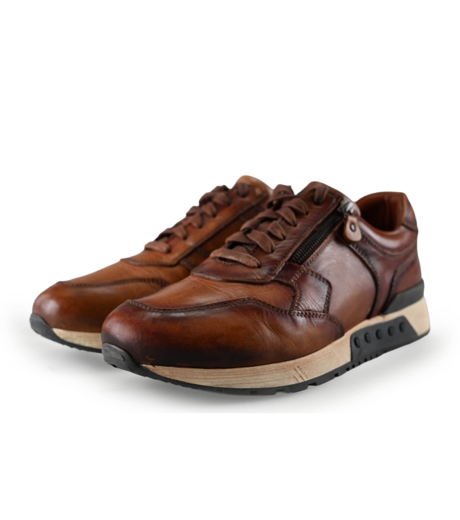 Greve Sneakers