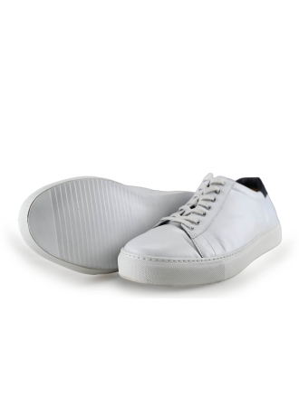 Shoes Sneakers