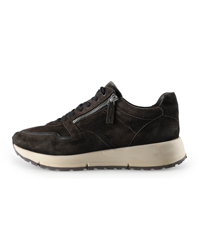 Greve Sneakers