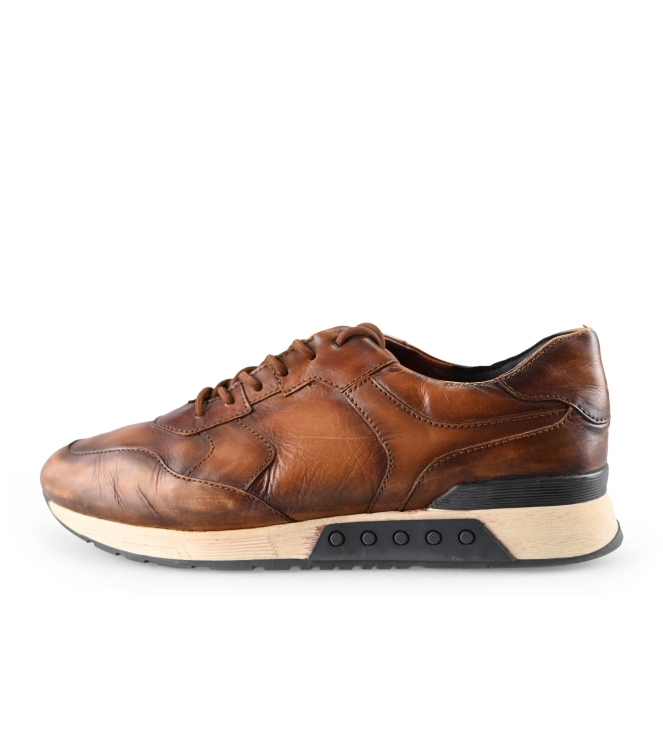 Greve Sneakers