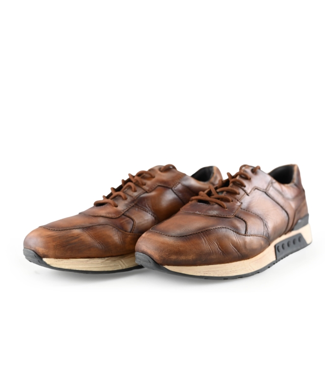 Greve Sneakers