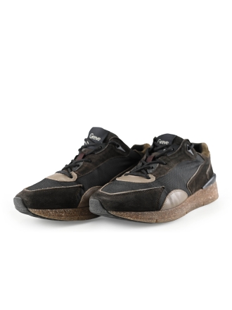 Greve Sneakers Bruin 283907