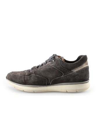Greve Sneakers Grijs 283910