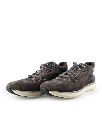 Greve Sneakers Grijs 283910