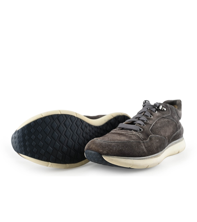 Greve Sneakers