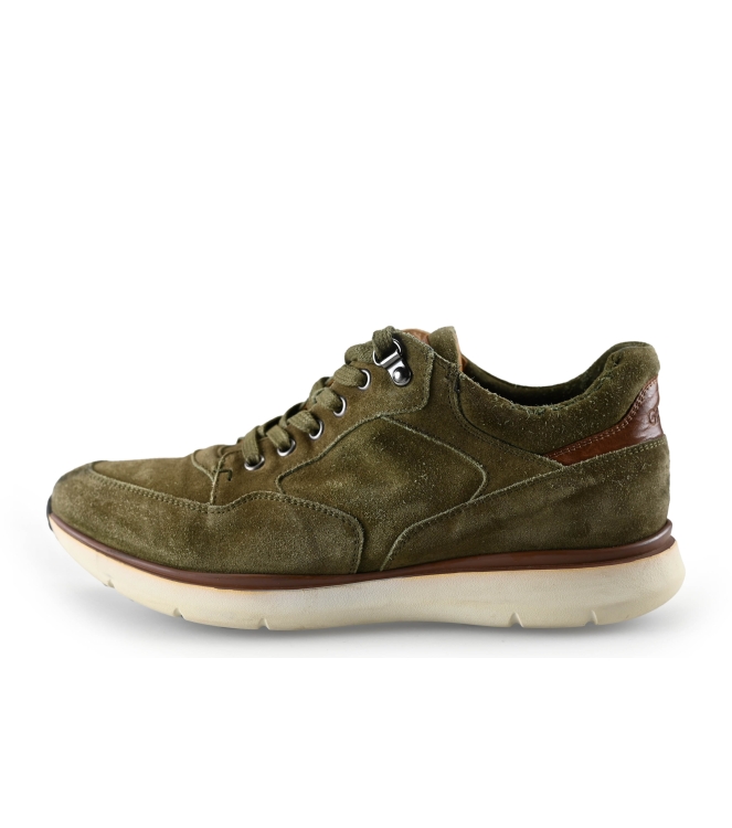 Greve Sneakers